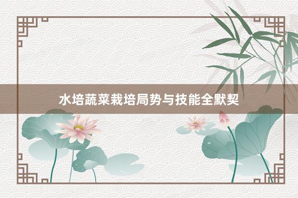 水培蔬菜栽培局势与技能全默契