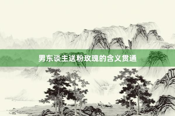 男东谈主送粉玫瑰的含义贯通