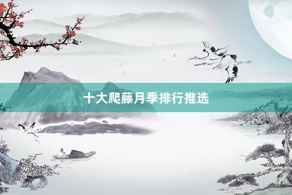 十大爬藤月季排行推选