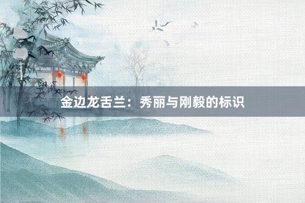 金边龙舌兰：秀丽与刚毅的标识