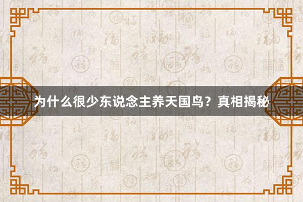 为什么很少东说念主养天国鸟？真相揭秘