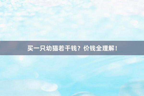 买一只幼猫若干钱？价钱全理解！